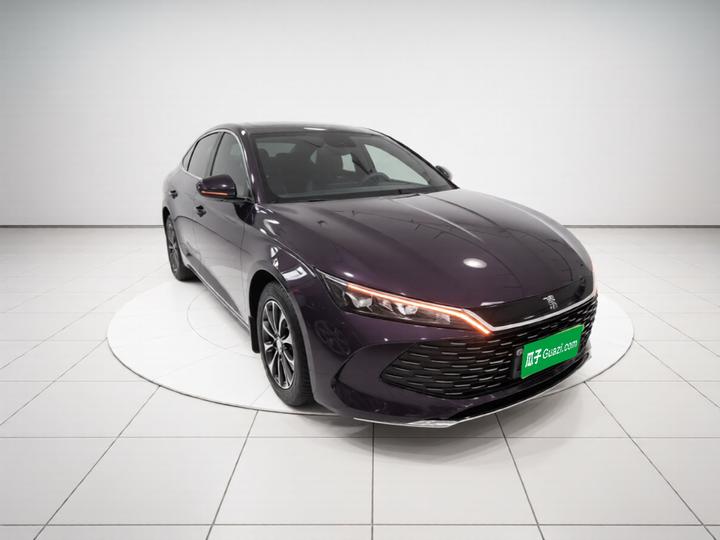 Qin L 2024 DM-i 80KM Leading photo 3