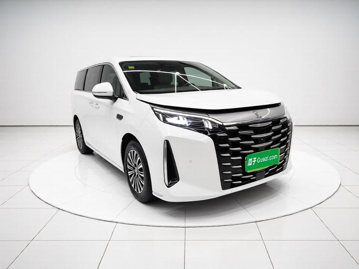 2025 DM-i 1.5T 180km photo 3