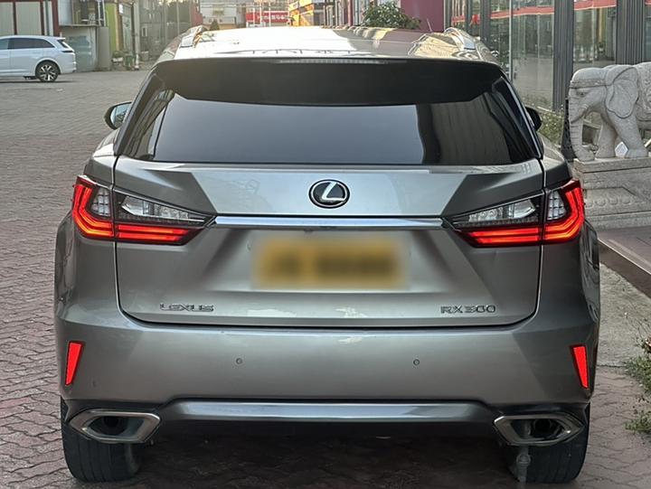 RX 2016 300 AWD Elegant China V photo 4
