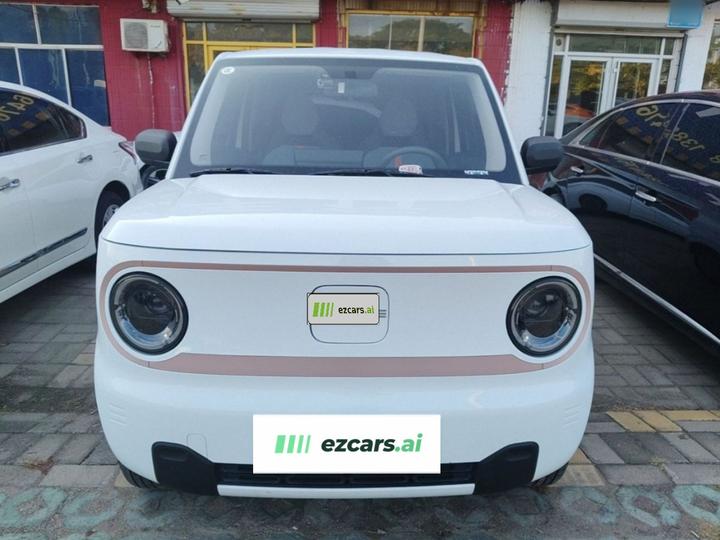 2024 Panda mini 200km Endurance Bear photo 2