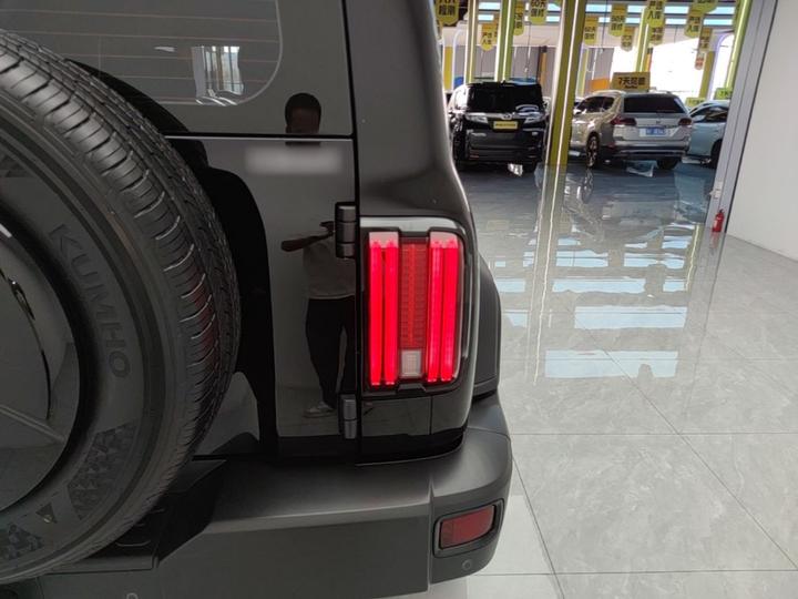 300 2023 Off-road 2.0T photo 7