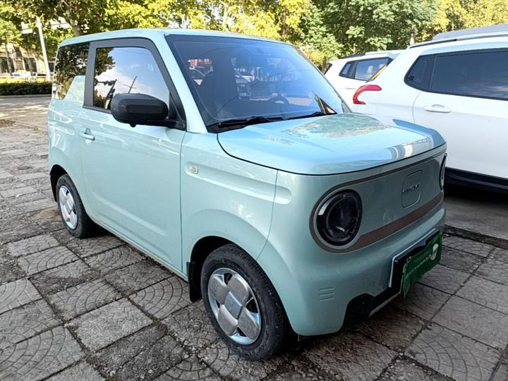 2024 Panda mini 200km Endurance Bear photo 3