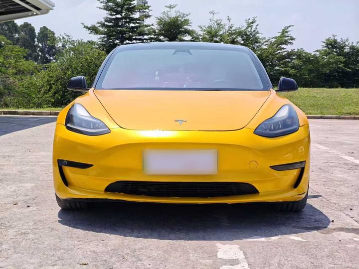 Model 3 2021 Performance AWD photo 2