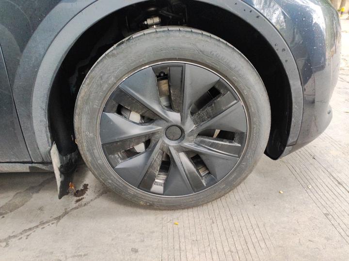 Model Y 2024 RWD photo 8