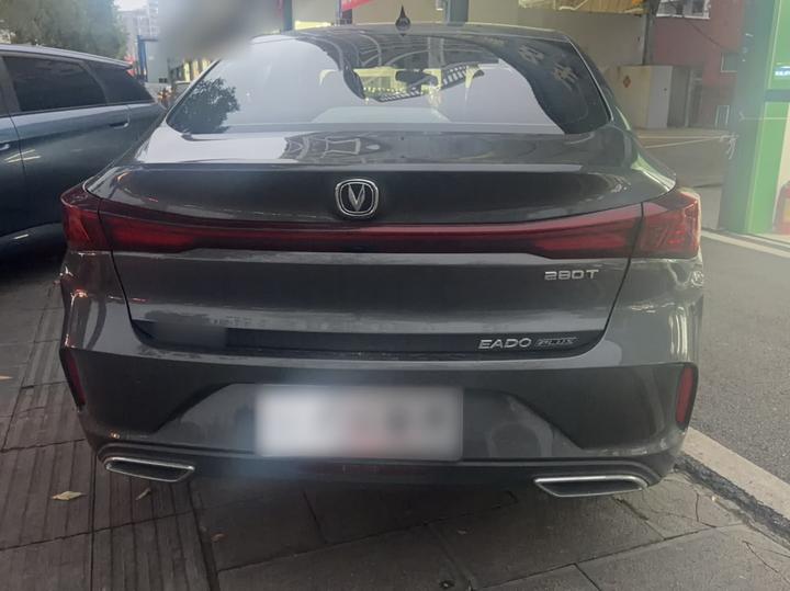 Eado 2024 PLUS NE 1.4T GDI DCT photo 6