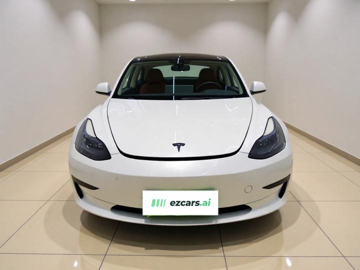 Model 3 2022 RWD photo 2