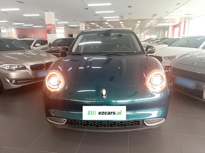 Good Cat 2021 400km Standard Range LFP photo 2