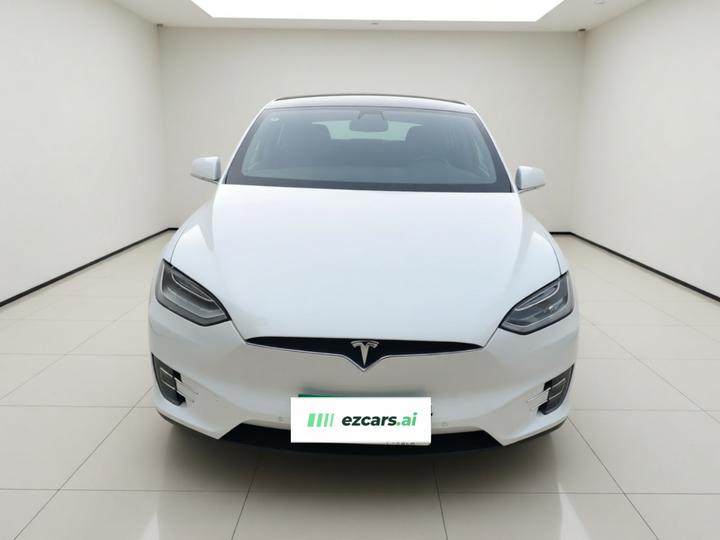 2017 Model X 100D Long Range photo 2