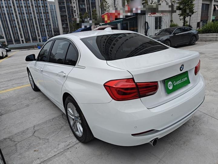 3 Series 2018 318Li photo 4
