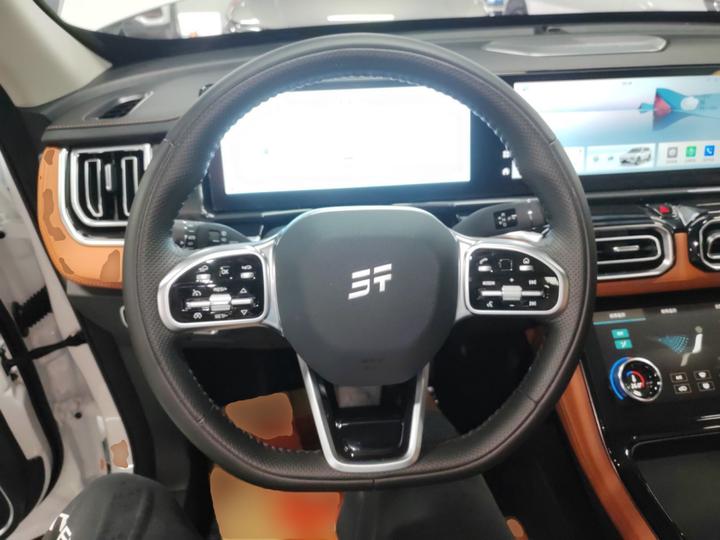 Shanhai L7 2024 1.5T 120km MAX+ 7-Seater photo 7
