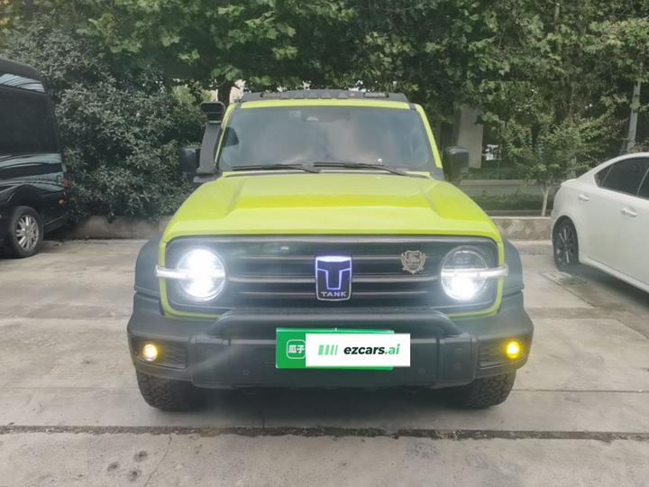 300 2021 Off-road 2.0T Conqueror photo 2
