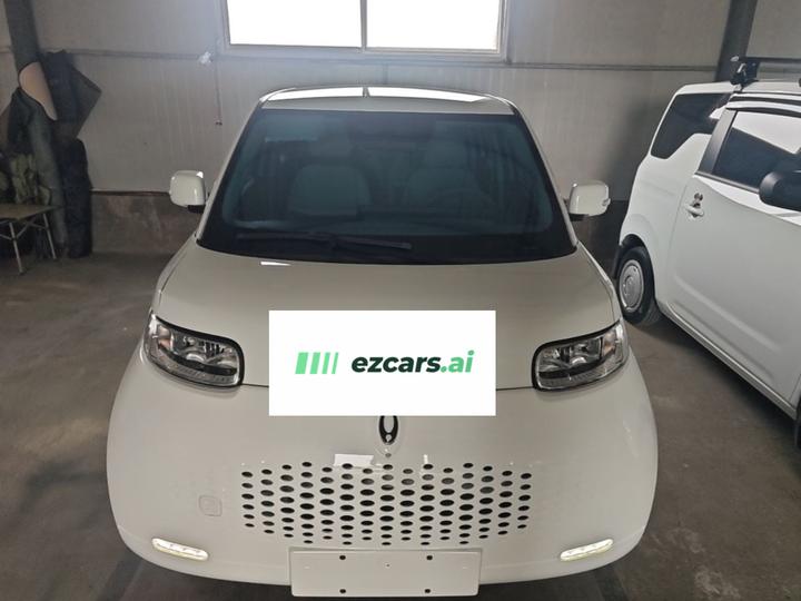 2022 Upgraded 305km Luxury NCM photo 2