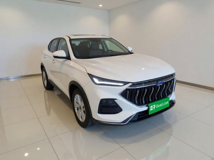 X5 2021 1.6L CVT Premium photo 3