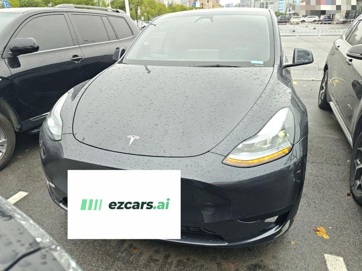 Model Y 2024 RWD photo 2