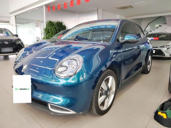Good Cat 2023 401km Standard Range Premium LFP