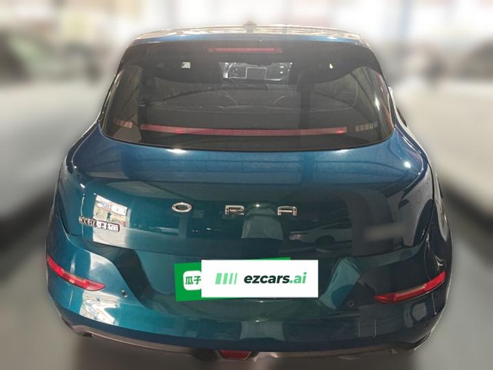 Good Cat 2021 400km Standard Range LFP photo 5
