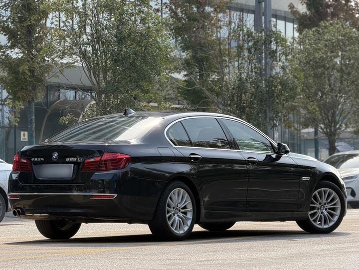 5 Series 2017 525Li Luxury Design Package photo 8