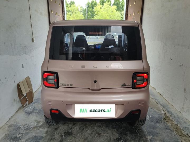 2023 Panda mini 200km Endurance Bear photo 3