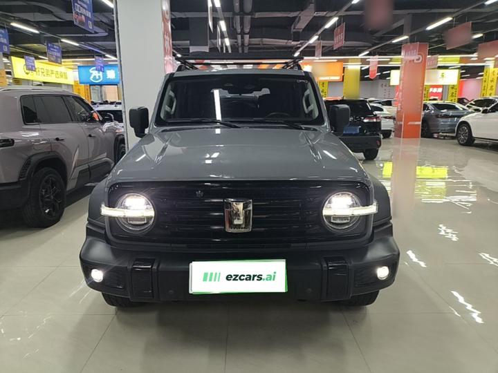 300 2021 Off-road 2.0T Conqueror photo 2