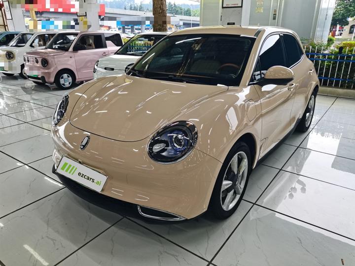 Good Cat 2023 401km Standard Range Luxury LFP