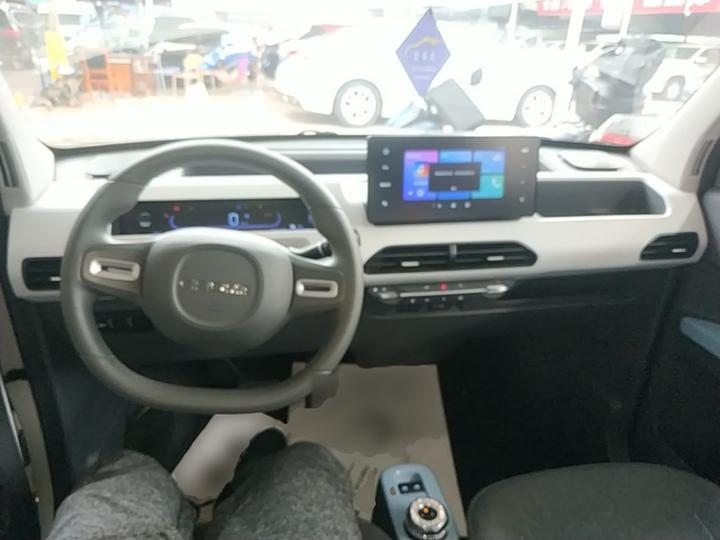 2024 Panda mini 200km Endurance Bear photo 5