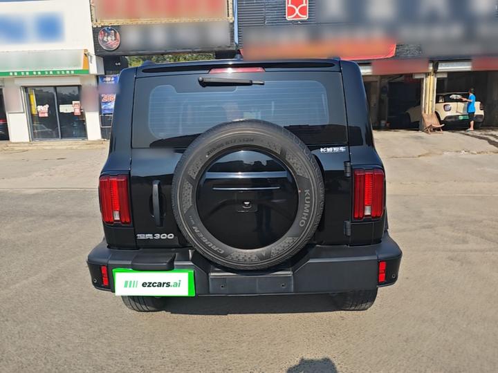 300 2024 2.0T Conqueror photo 5