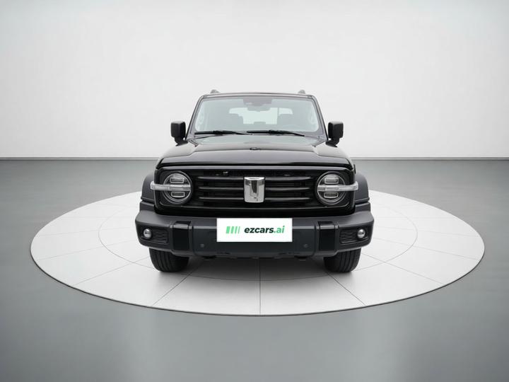 300 2021 Off-road 2.0T photo 2