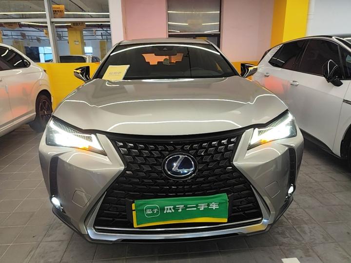 UX EV 2020 300e photo 2