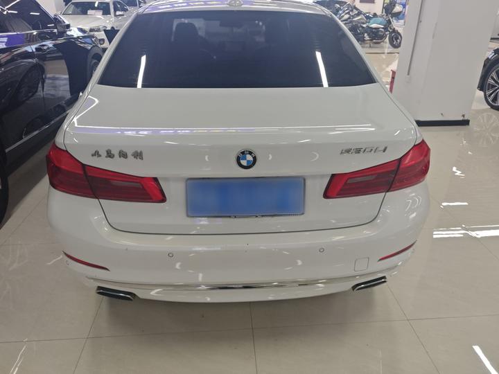 5 Series 2019 530Li Leading Luxury photo 3
