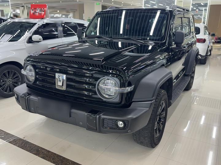 300 2021 Off-road 2.0T Conqueror