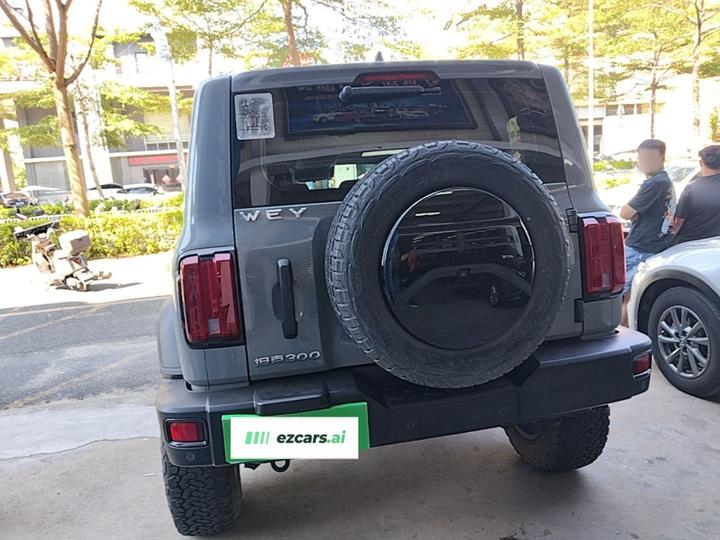 300 2021 Off-road 2.0T Conqueror photo 4