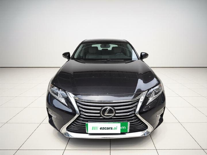 ES 2015 200 Elite photo 2