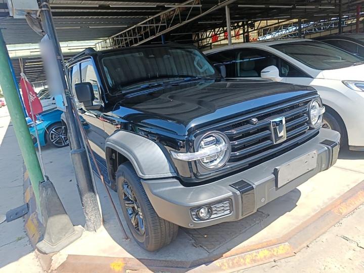 300 2021 Off-road 2.0T Conqueror photo 3
