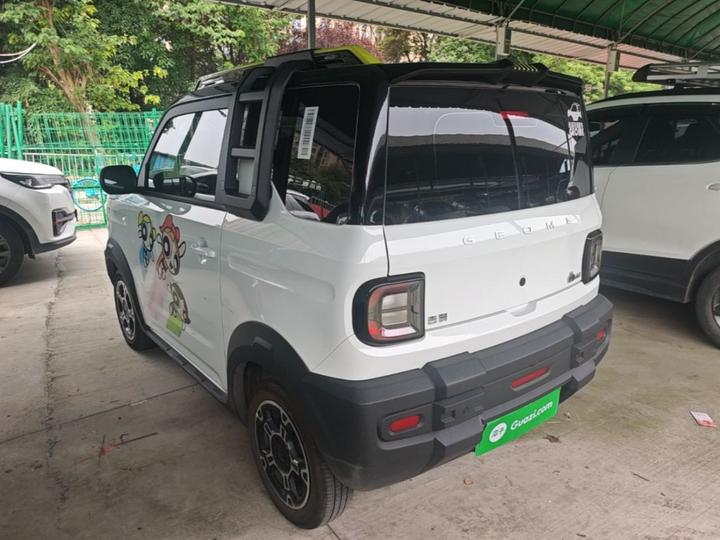 2025 210km Panda photo 4