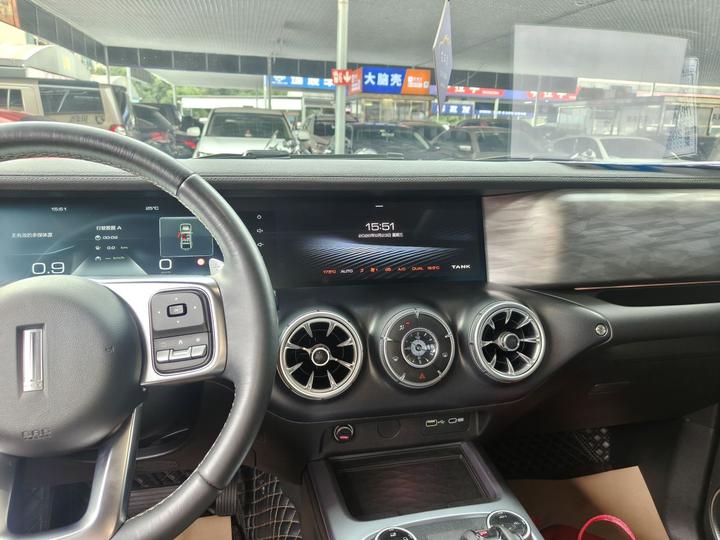 300 2021 Off-road 2.0T Conqueror photo 8