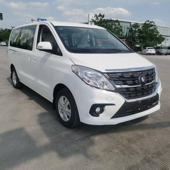 Lingzhi PLUS 2025 2.0L MT Luxury CNG 7-Seater