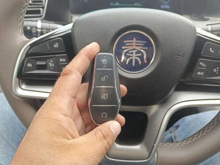 Qin PLUS 2024 Honor EV 420KM Leading photo 8