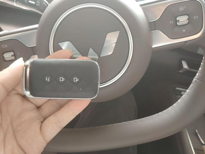 730 EV 2025 125km Luxury photo 8