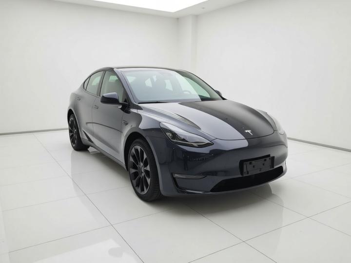 Model Y 2024 Long Range AWD photo 3
