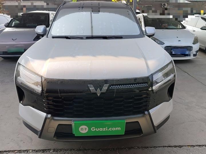 560 EV 2026 125km Luxury photo 2