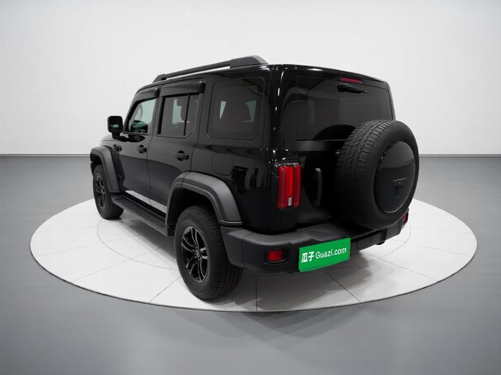 300 2021 Off-road 2.0T Conqueror photo 4