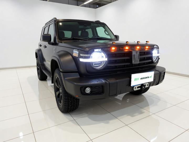 300 2021 Off-road 2.0T Conqueror photo 3