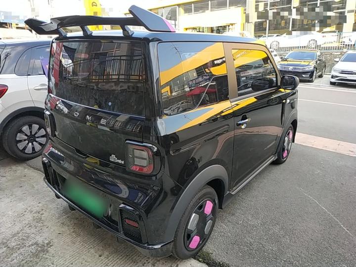 2024 200km Panda photo 4