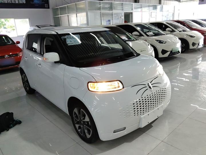 2022 Upgraded 305km Luxury NCM photo 3