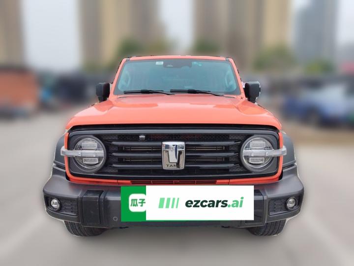 300 2023 Off-road 2.0T Conqueror photo 2