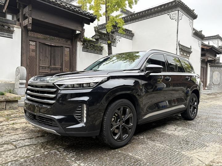 2021 390T RWD Starlight Long Range