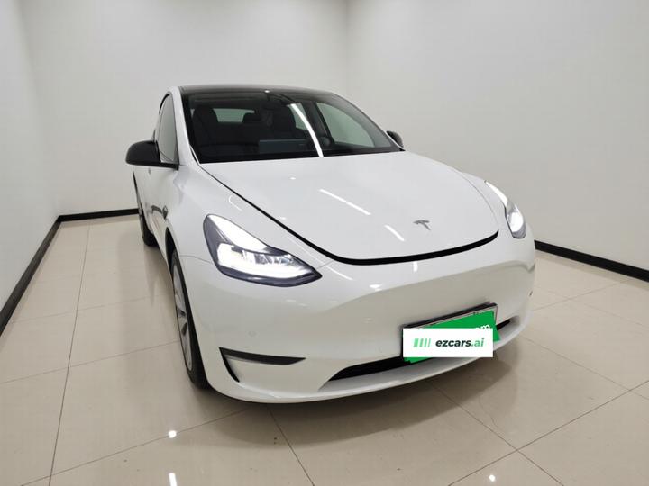 Model Y 2021 Long Range AWD photo 3