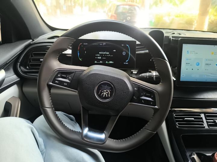 Qin PLUS 2024 Honor DM-i 55KM Leading photo 6