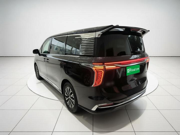 HQ9 PHEV 2024 2.0T AWD Luxury photo 4