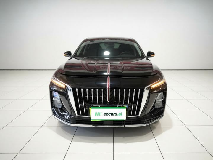 H5 PHEV 2025 130 photo 2